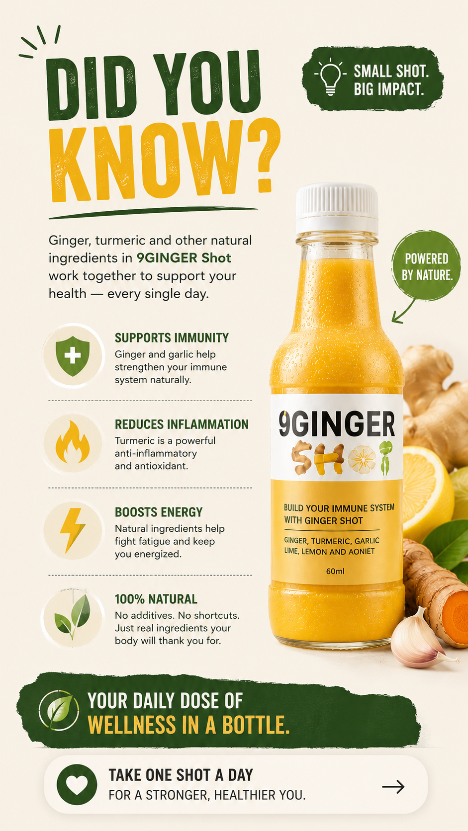 Did you know - 9Ginger Shot daily benefits